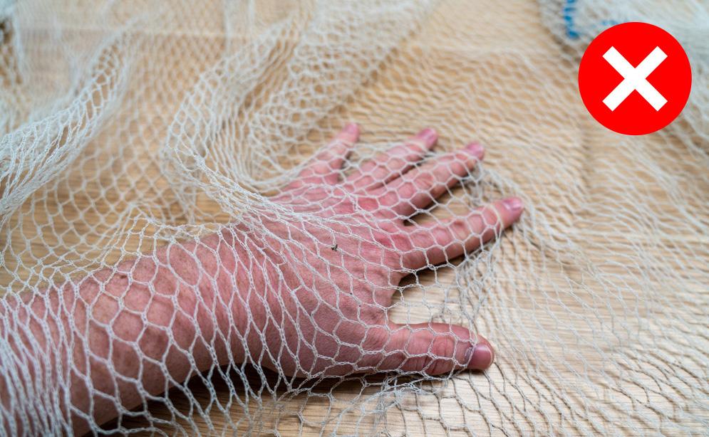 Australian City Cracks Down on Unsafe Fruit Tree Netting