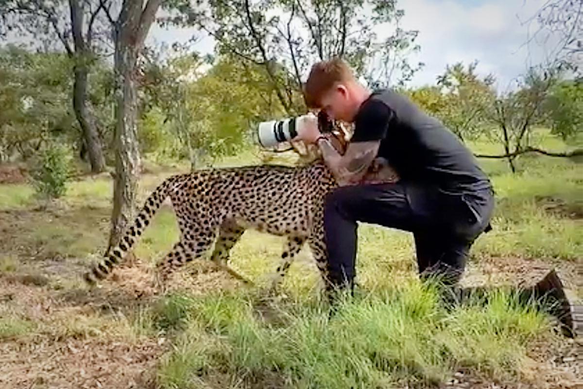 ‘It Was a Magical Moment’: Photographer Gets Up Close With a Cheetah in South Africa