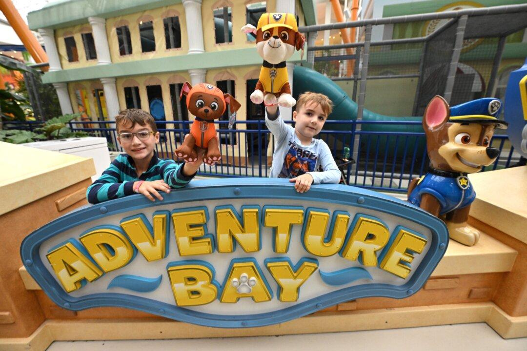 Paw Patrol 2 Reminds Us That What’s ‘Safe’ Isn’t Always What’s Right