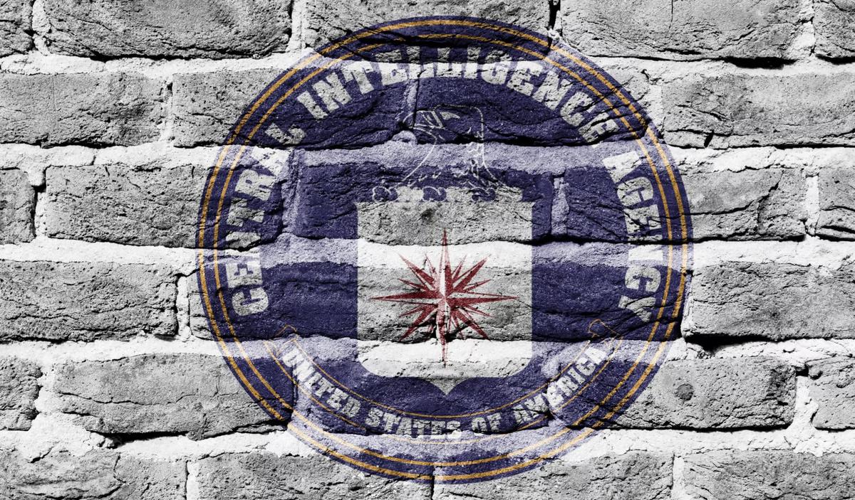 Who Really Runs America?