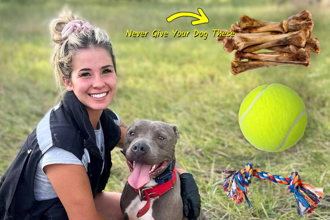 Dog Trainer Warns Owners to Never Give Your Dog These 3 Common Things, Suggests Alternatives