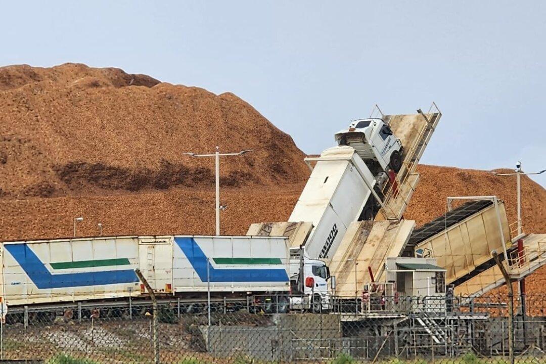 Western Australia to End Commercial Logging in Native Forests