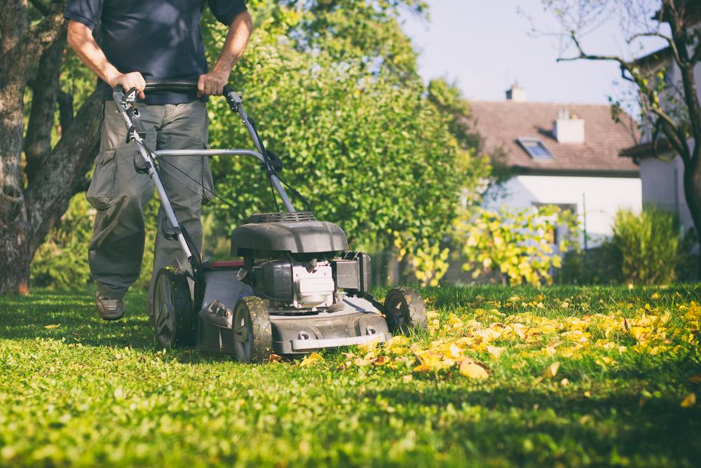 Lawn Management: Fall Prep and Winter Care