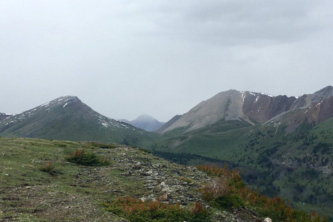 Couple Killed by Bear in Banff National Park Experienced in Outdoors: Family Friend