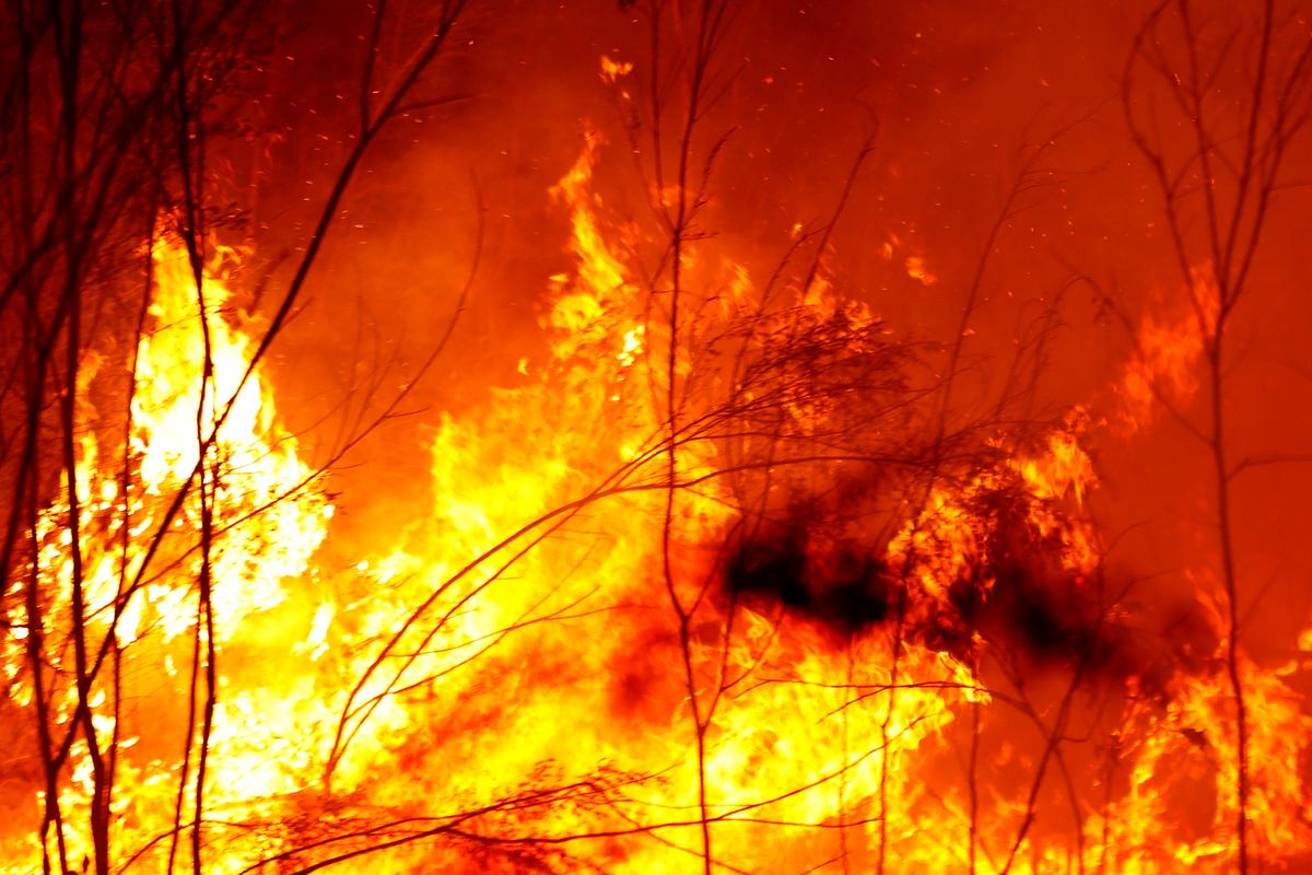 Bushfires Triple in Size Near Victoria’s East Coast