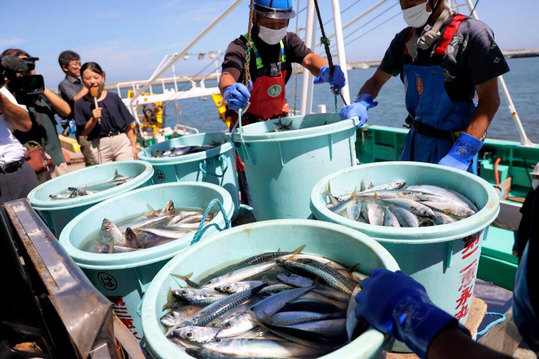 Chinese Fishing Boats Catch Seafood off Japan as Beijing Bans Japanese Imports