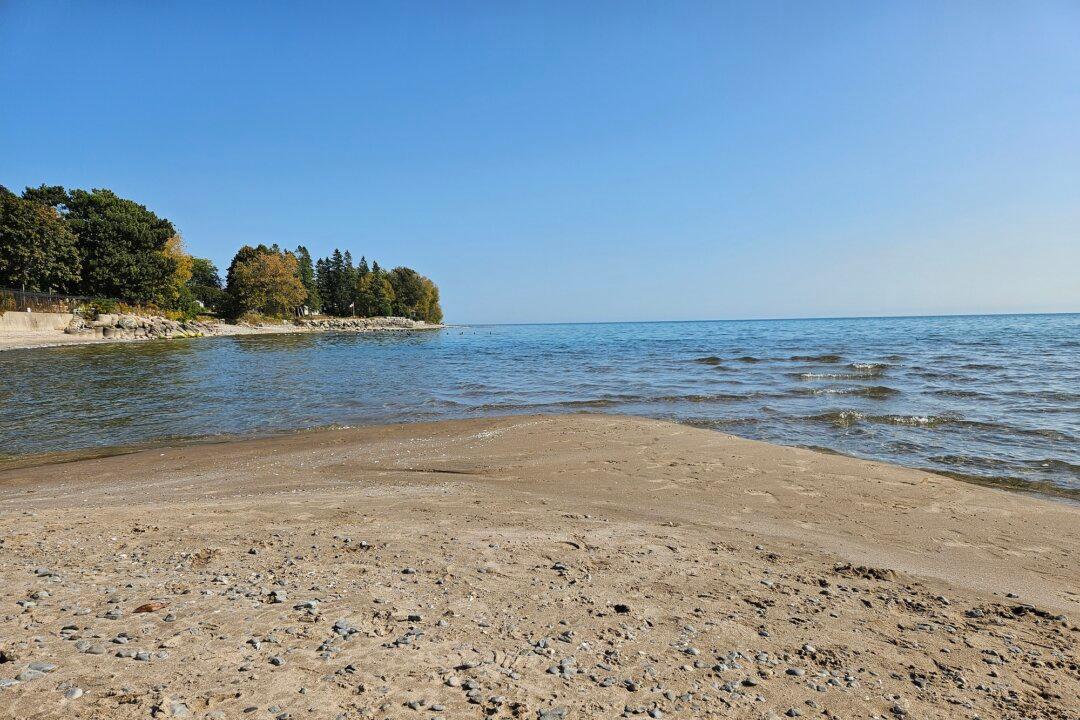 Microplastics Levels in Lake Ontario Fish Higher Than Global Average: Study