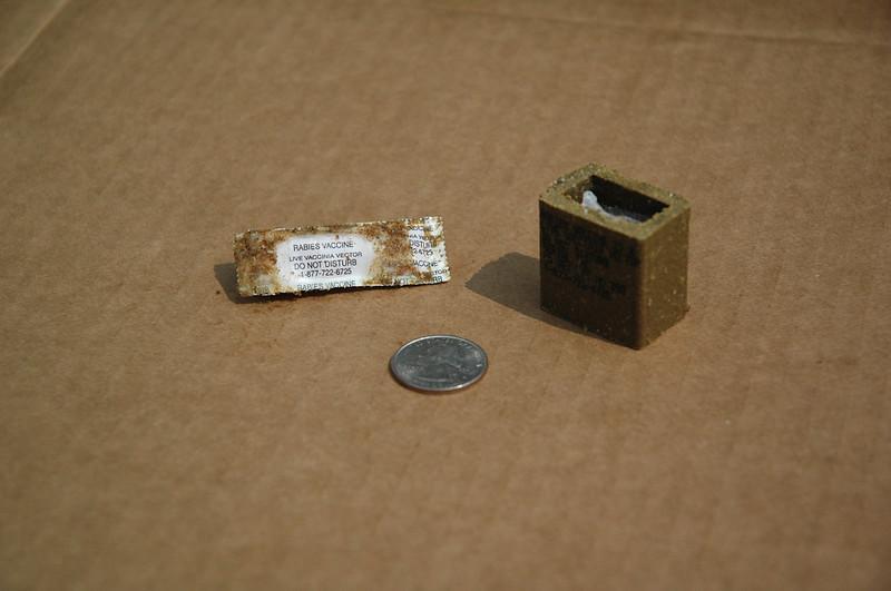 Rabies Vaccines Airdropped from Planes Throughout the Southeastern States in October