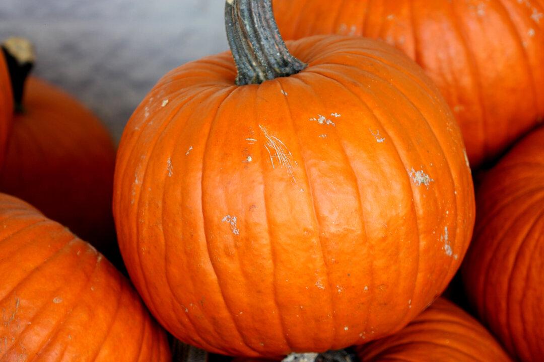 Health Benefits of Pumpkin