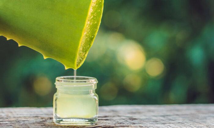 Aloe Vera – Effects on Blood Glucose and Benefits
