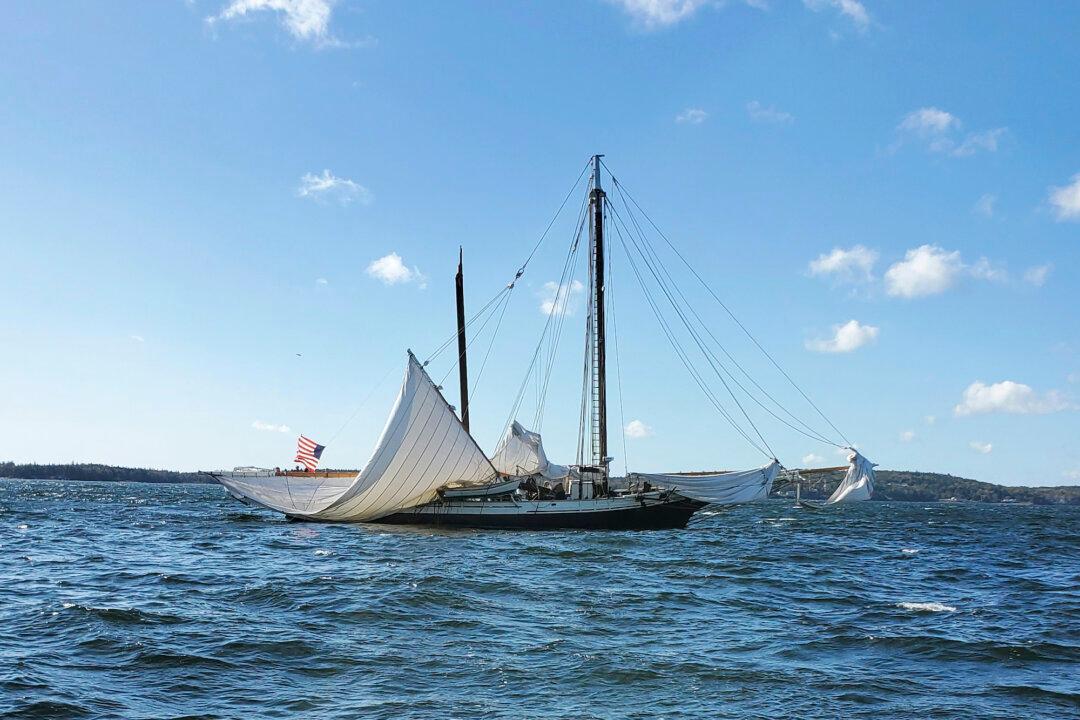 One Dead, Three Injured After Mast Snaps Aboard Schooner During Tourist Cruise