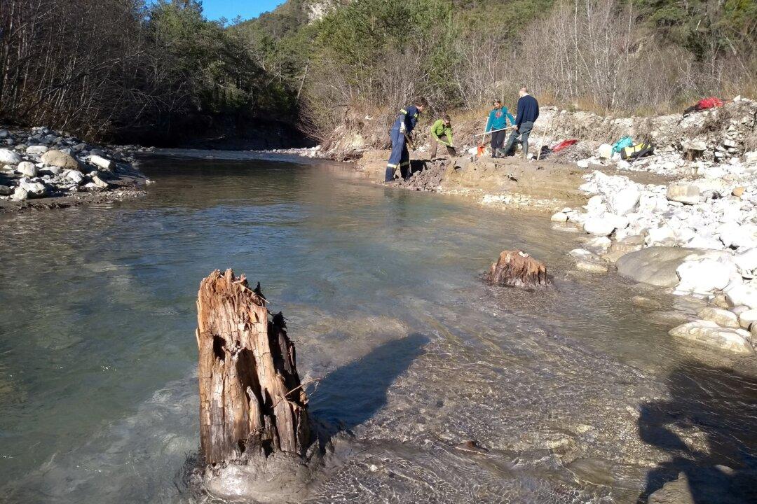 Huge Ancient Solar Storm Revealed by Tree Rings in French Alps