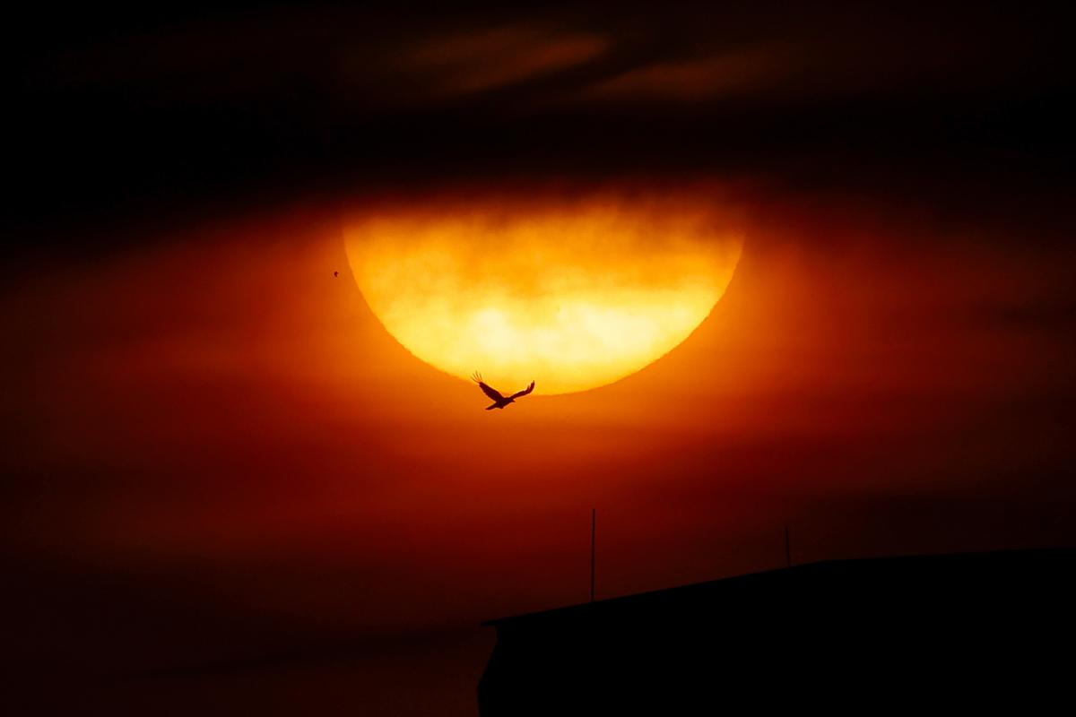 When a Time Delay Becomes a Time Bomb