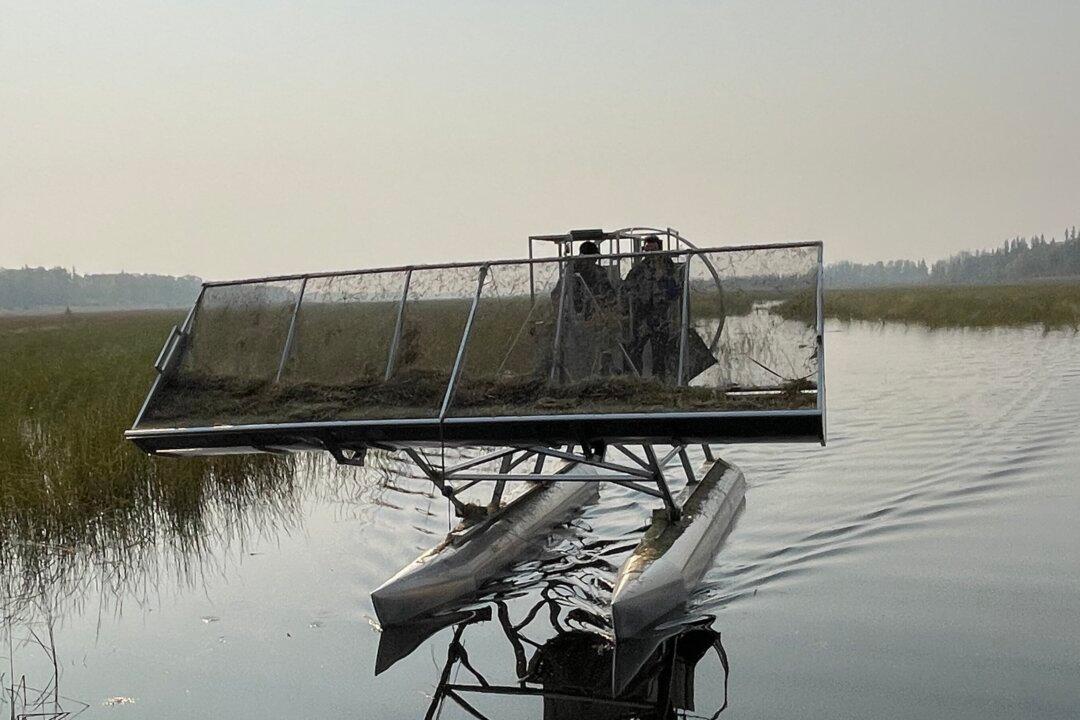 2023 a Great Year for Canada’s Wild Rice Production