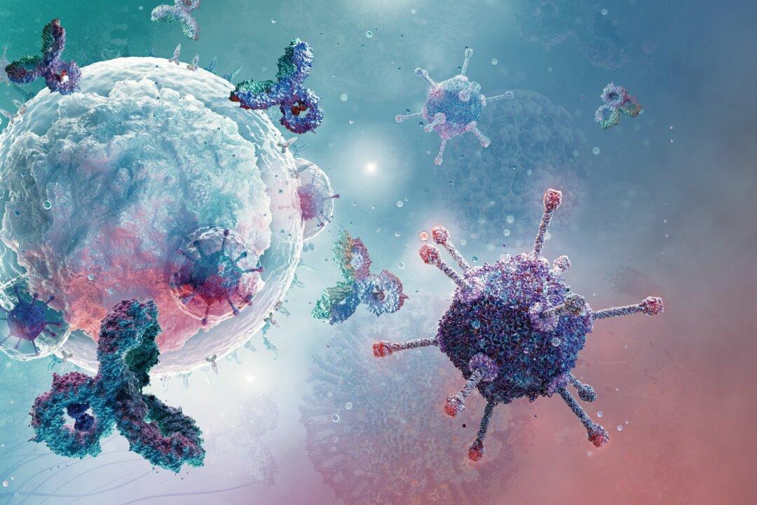 Scientists Discover Molecule That Prevents Immune System From Attacking Cancer Cells