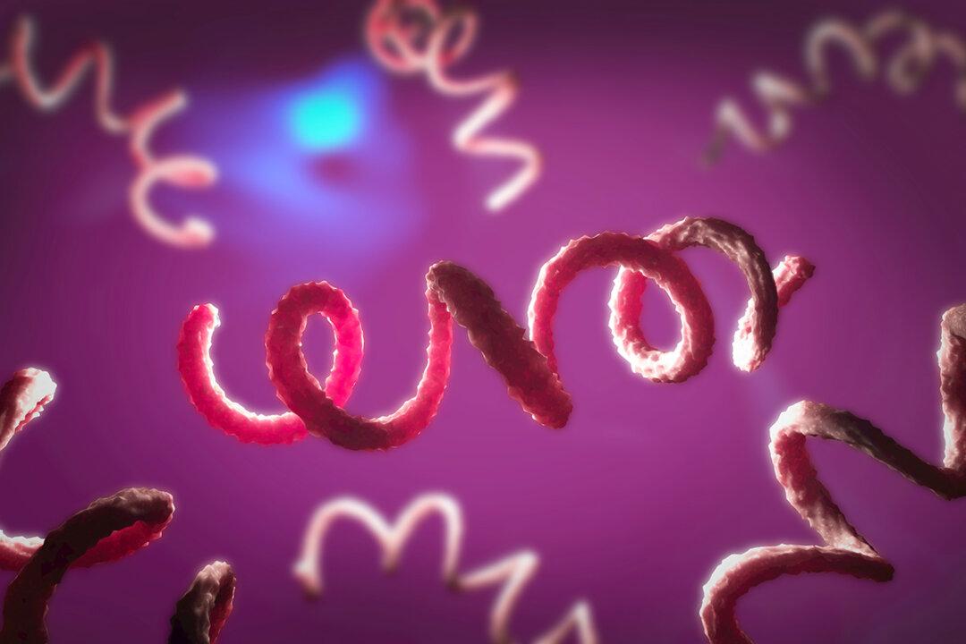 1,000 Percent Spike in Congenital Syphilis in This State: New Data