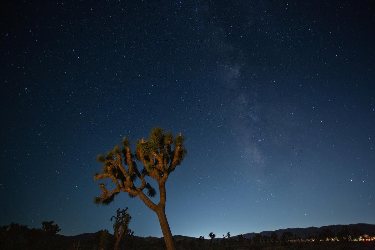 Want to Take Majestic Night Sky Photographs in the Desert? There’s a Class for That