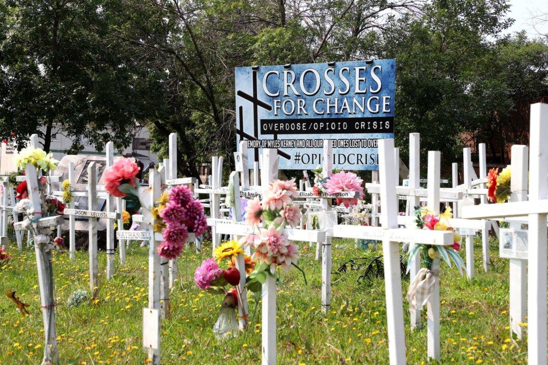 Safe Supply Programs Creating a Surge in New Opioid Users