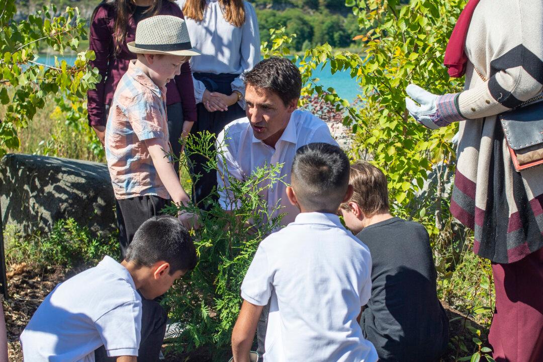 ‘2 Billion Trees’ Program Will Fall Short of Goal, Committee Hears