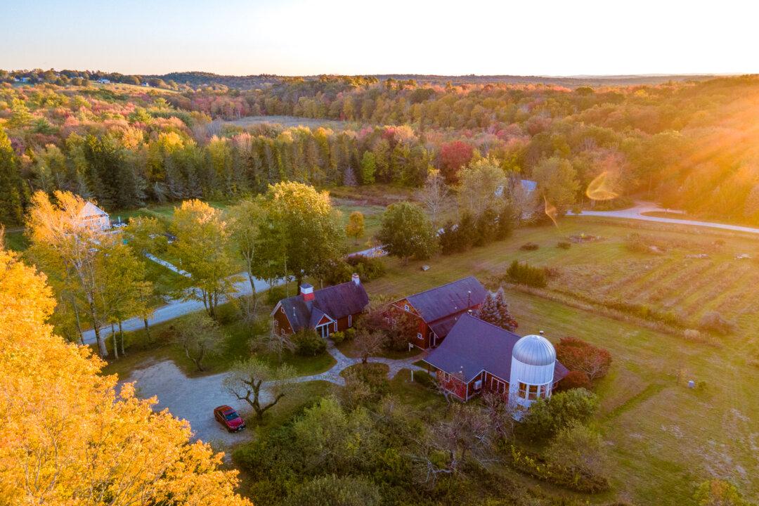 Connecticut’s Winvian Farm Offers a Luxury Treehouse, a Helicopter Lounge, and Seed-to-Fork Dining