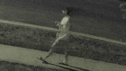 Los Angeles Police Arrest Man Suspected of Lighting American Flag on Fire