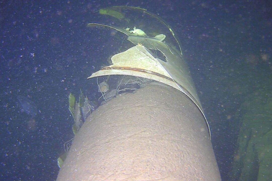 3 Baltic Pipe and Cable Incidents ‘Are Related’, Estonia Says