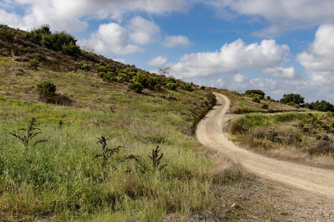 Hiking for Soul Care—Better Health Through Connecting With Nature