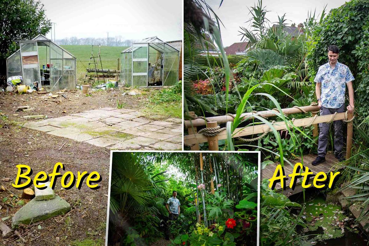 Homeowner Turns Shoddy Yard Into Incredible Tropical ‘Jungle’ Garden—Here Are the Photos