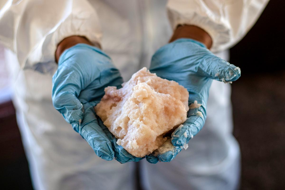 ‘Record-Breaking’ Amount of Meth Seized at Georgia Farmers Market, Hidden in Celery