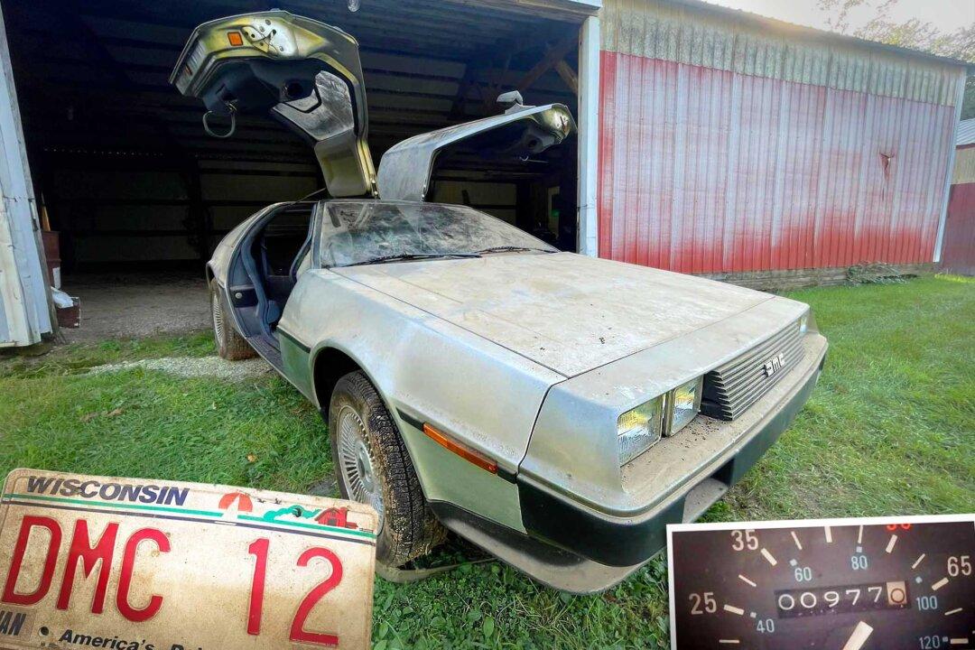 ‘Time Machine': Man Finds ’81 DeLorean With Original Tires, Less Than 1,000 Miles in Barn in Wisconsin
