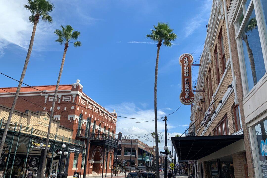 Suspect Admits to Firing Gun in Tampa’s Halloween Weekend Mass Shooting