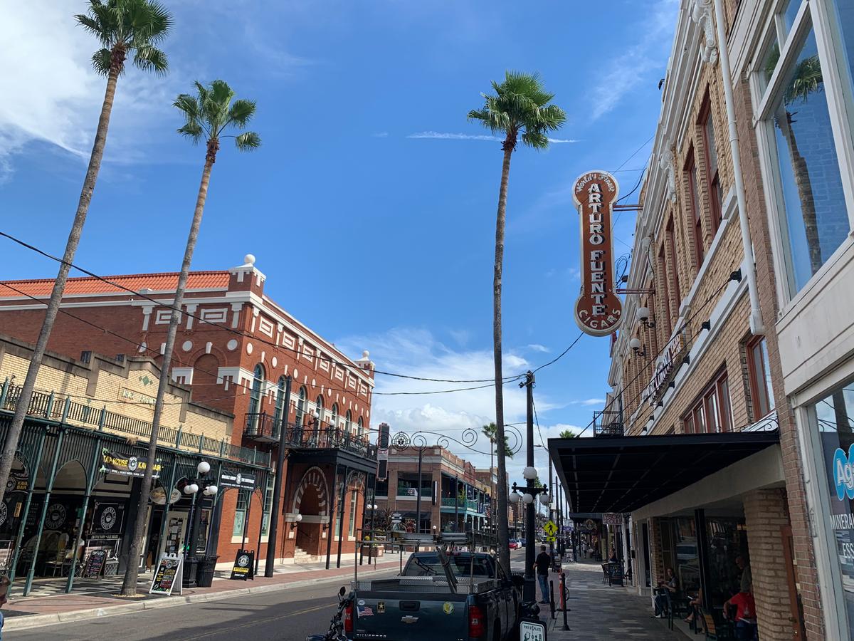 Suspect Admits to Firing Gun in Tampa’s Halloween Weekend Mass Shooting