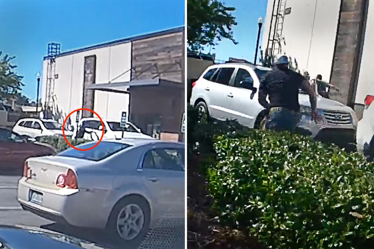 2 Heroic Citizens Help Catch Career Criminal After Home Robbery and Attempted Carjacking