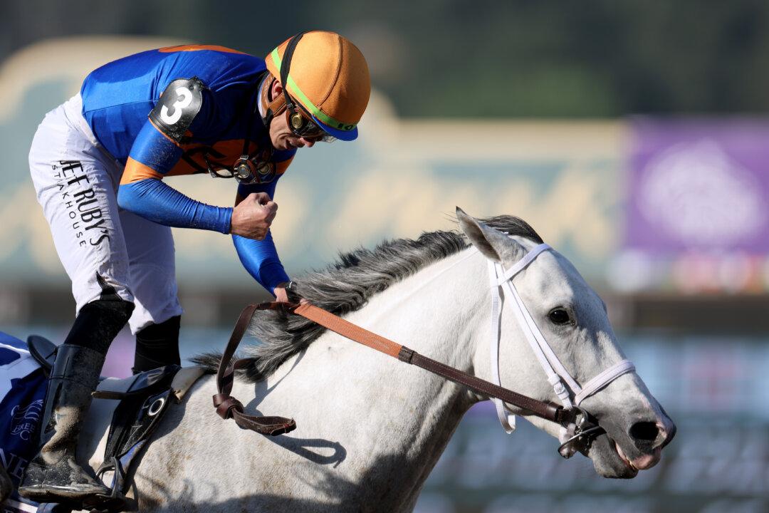 White Abarrio Wins Breeders’ Cup Classic at Santa Anita