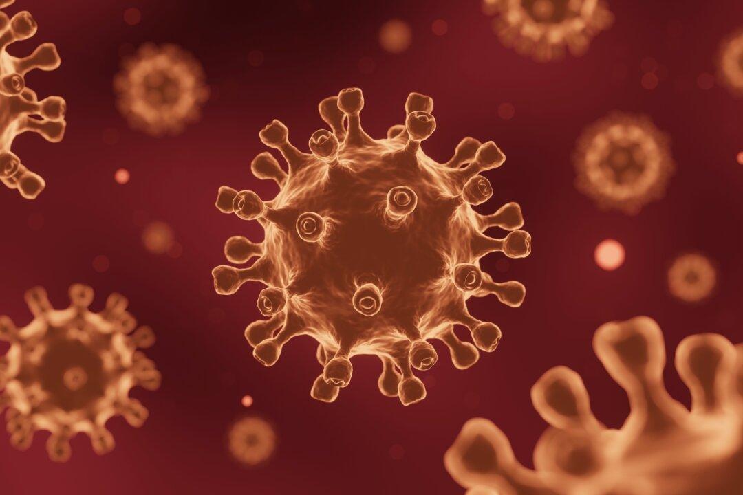 Lab Theory on COVID-19 Cannot Be Easily Dismissed: UNSW Researchers