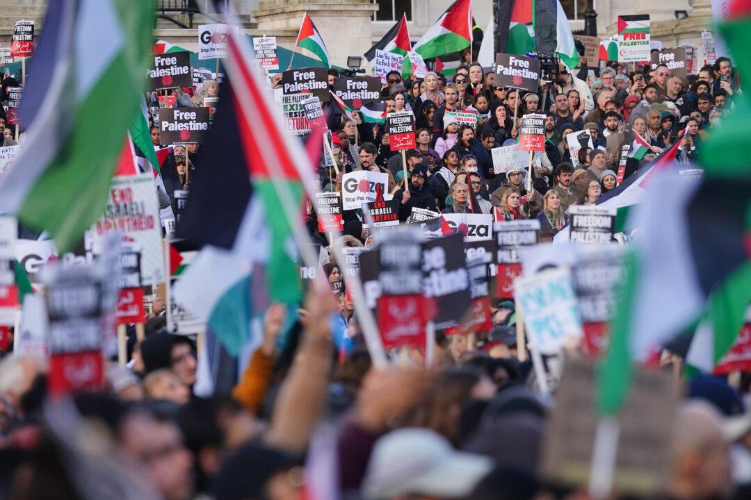 Campaign Groups Defy Police Appeal to Call Off Pro-Palestinian March on Armistice Day