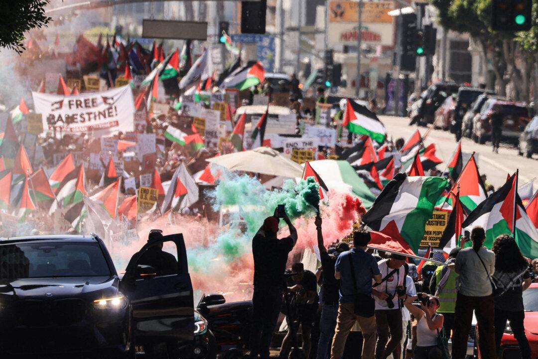 Who Are the Pro-Terrorist Activists?