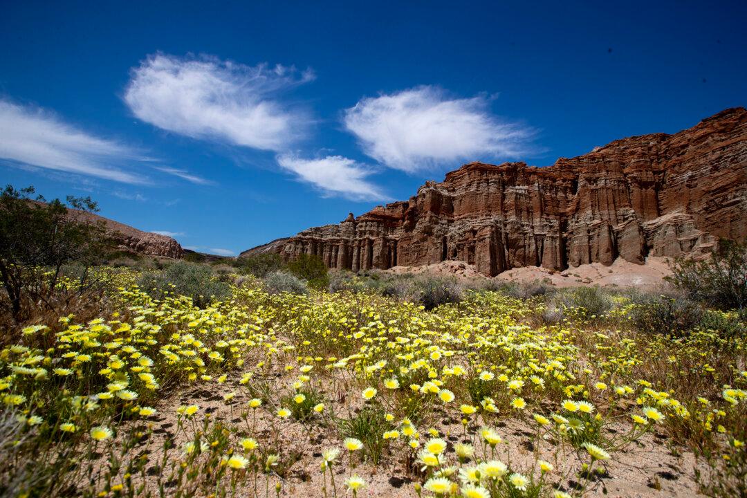 California Library Card Holders Could Lose State Parks Access Due to State Budget Deficit