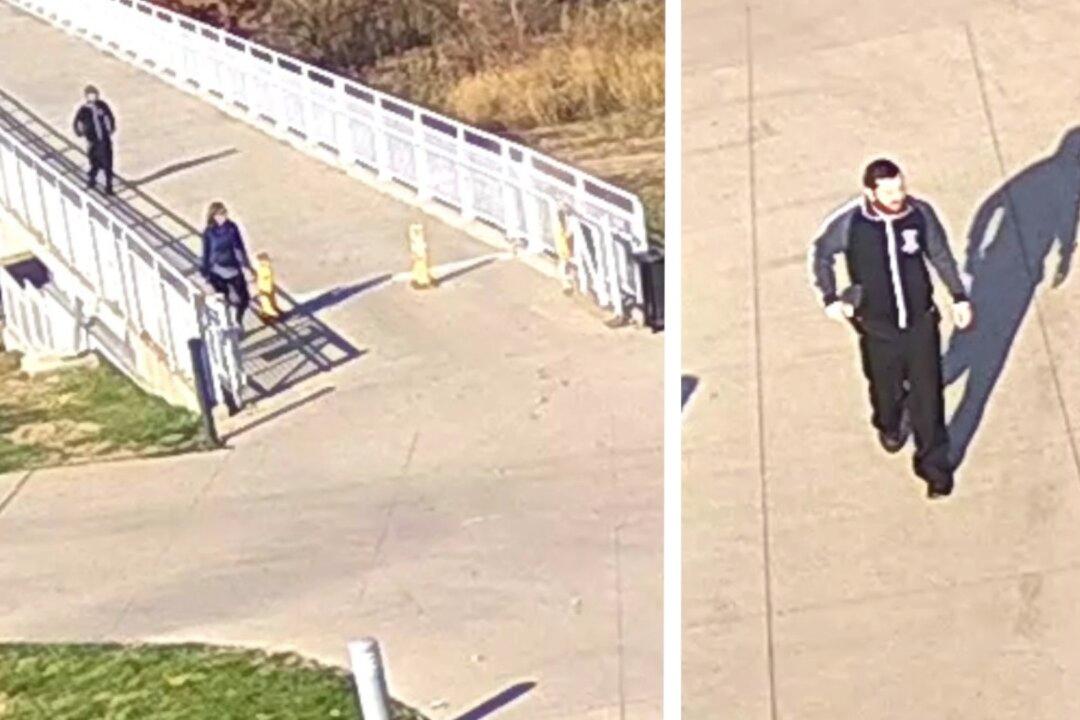 Man Who Attacked Former US Senator Martha McSally Given Suspended Sentence