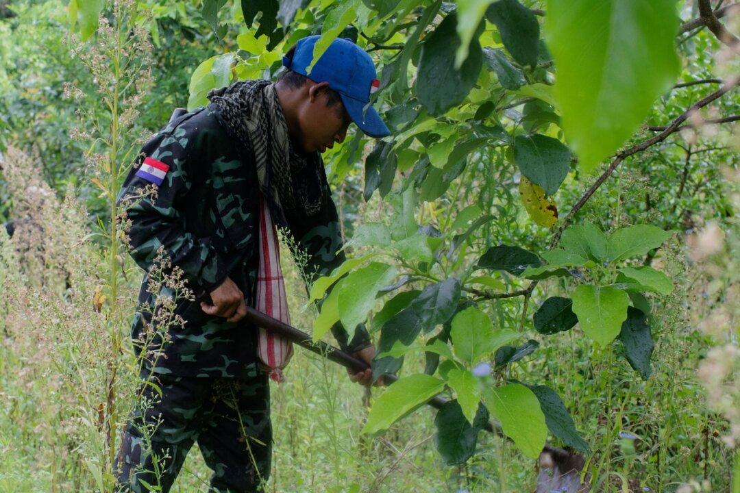 Military Jet Crashes in Eastern Burma; Ethnic Resistance Groups Claim They Shot It Down