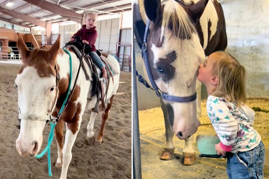 ‘Horses Can Feel Her’: Meet the 2-Year-Old ‘Horse Whisperer’ Who Can Ride Full Grown Horses