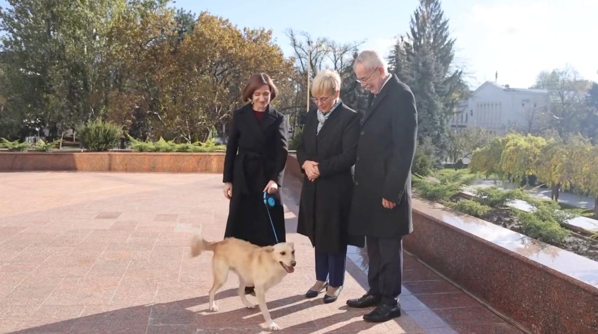 Moldovan Dog Bites Man—but This Time, a President
