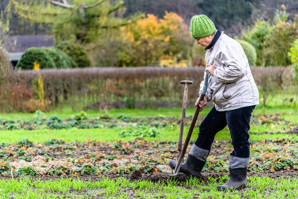 How to Properly Prepare Your Garden for Winter