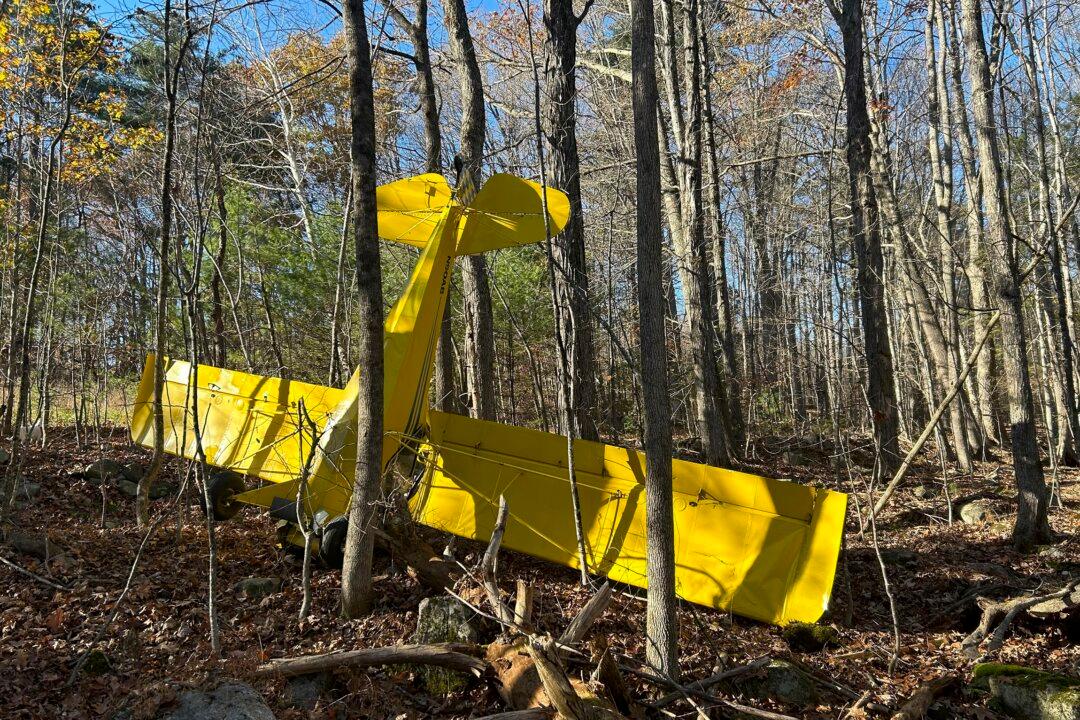 Pilot Suffers Minor Injuries in Small Plane Crash in Southern Maine