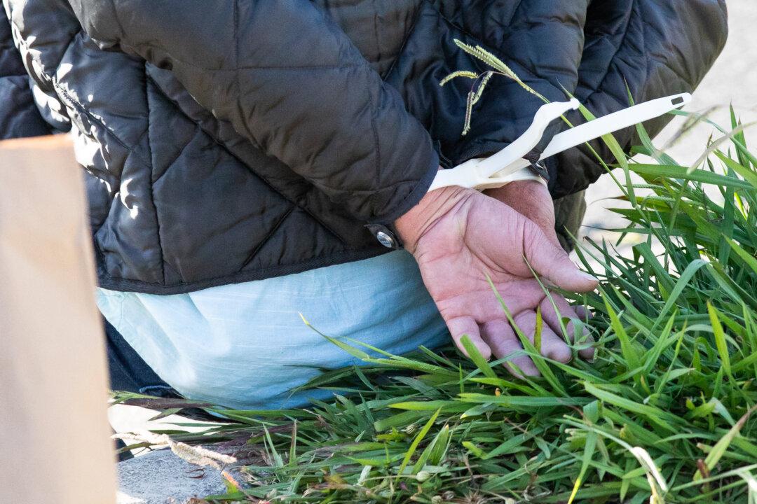 Man Accused of Stealing Bitcoin-Mining Computers