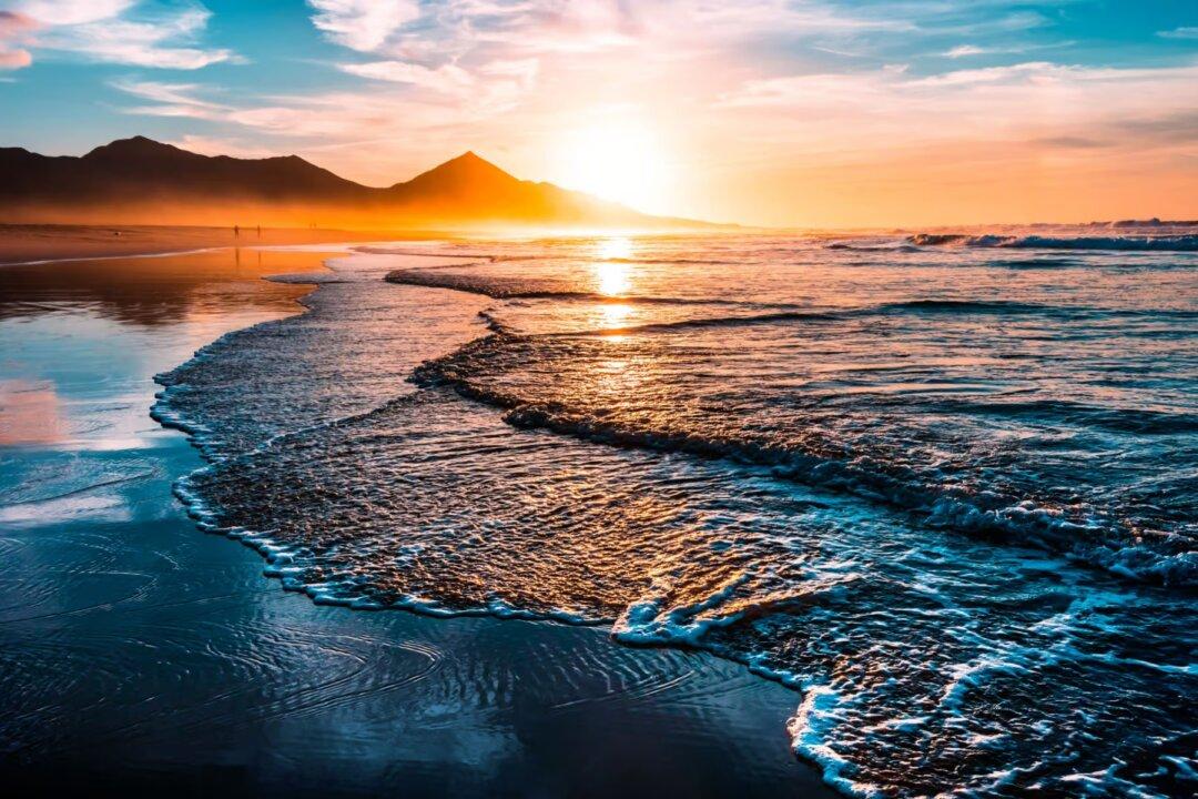 The Emptiness of the Transhumanist Ideal