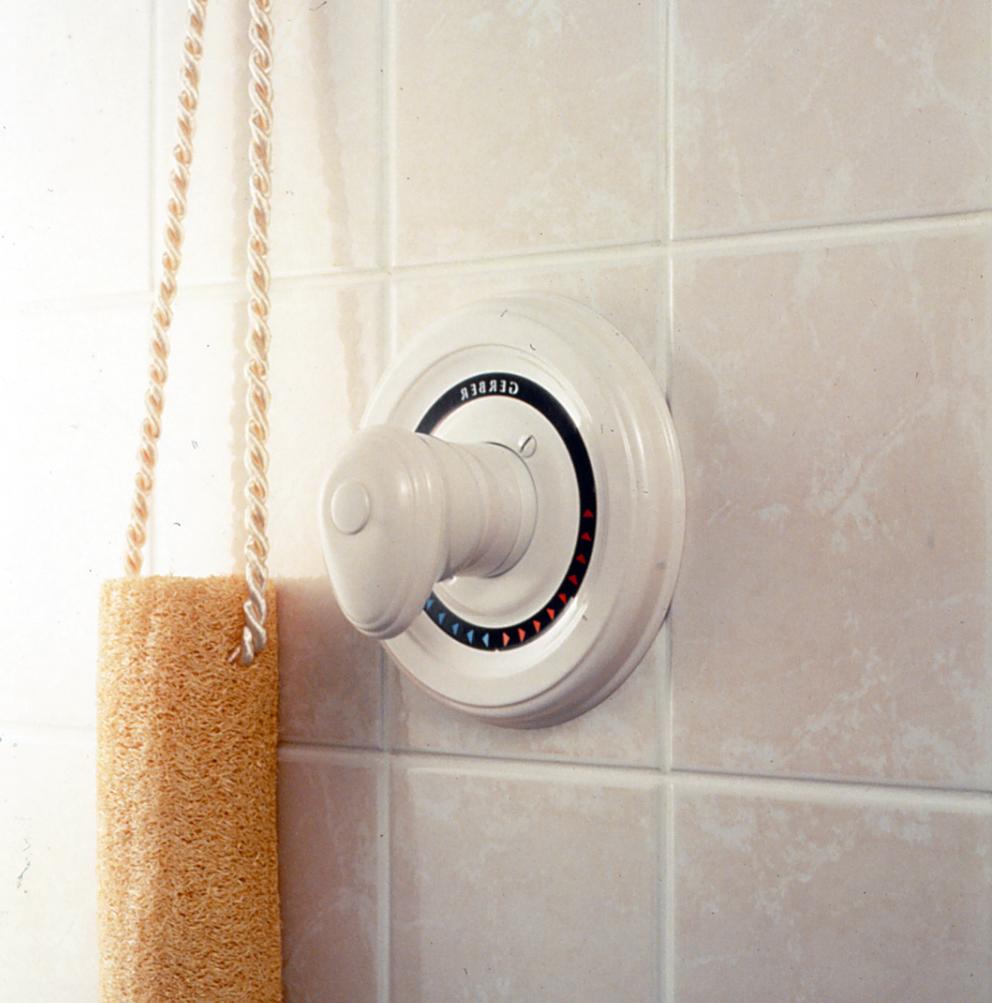 Install a Pressure Balanced Shower Valve