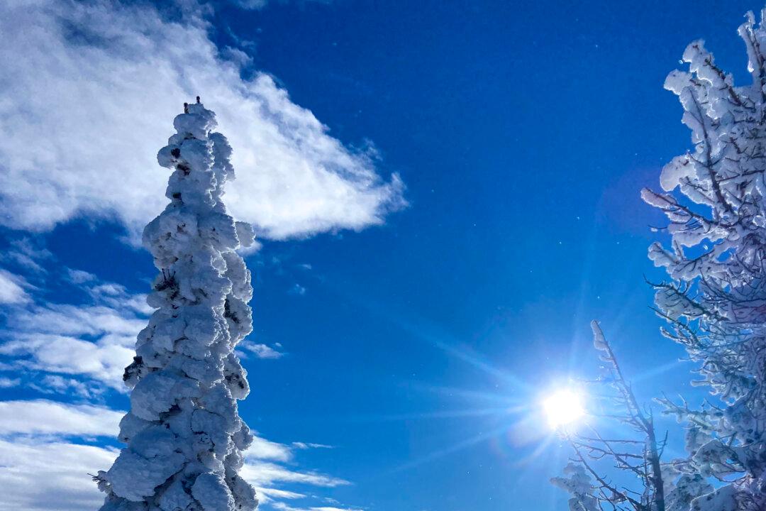 A Sampling of Idaho in 2 Seasons Shows There Is Much to Love About the Gem State