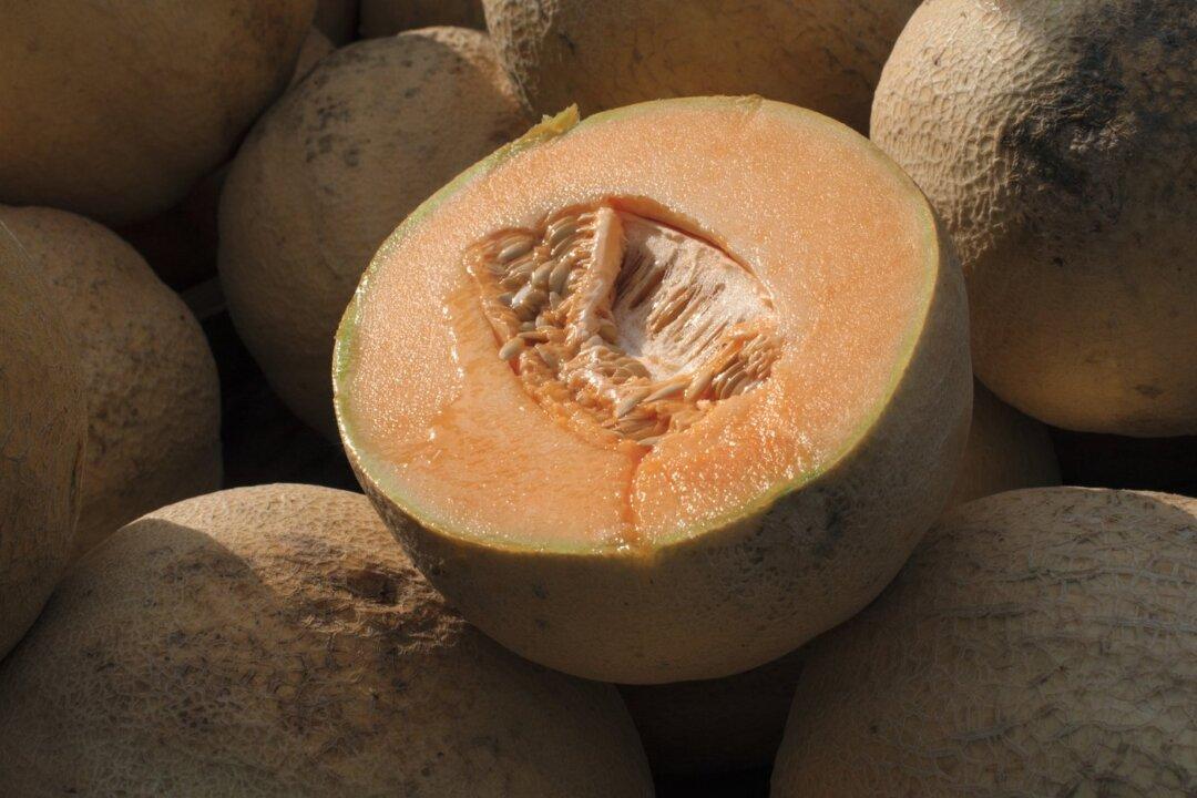 Death Toll Rises to Five in Cantaloupe Salmonella Outbreak, as Cases Almost Double