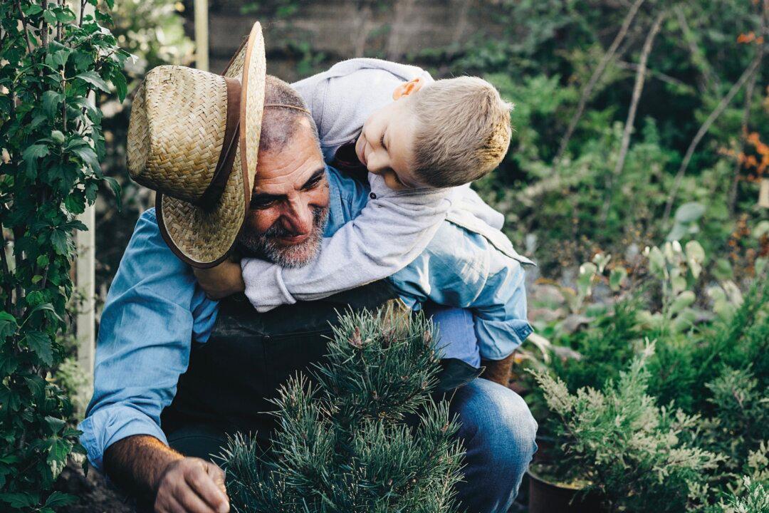 The 5 Best Places to Buy Seeds for Your 2024 Garden